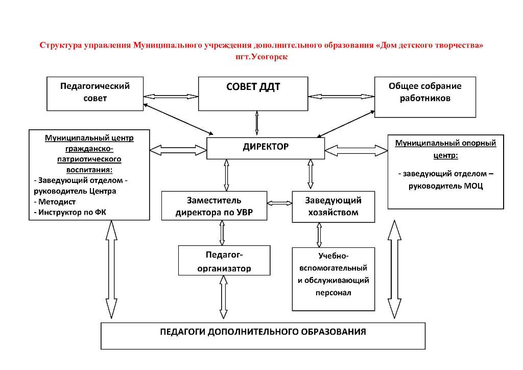 структура и органы управления ДДТ Усогорск